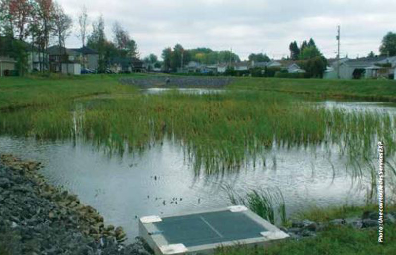 Gestion des eaux pluviales des solutions efficaces et esthétiques