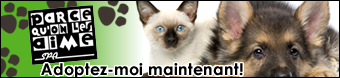 Adoptez moi SPA
