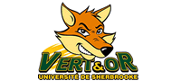 Vert et Or billet 2010-2011