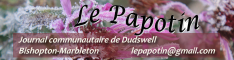 Journal le Papotin