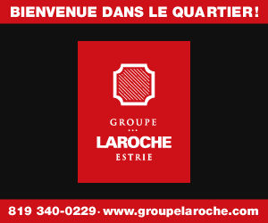 Groupe Laroche