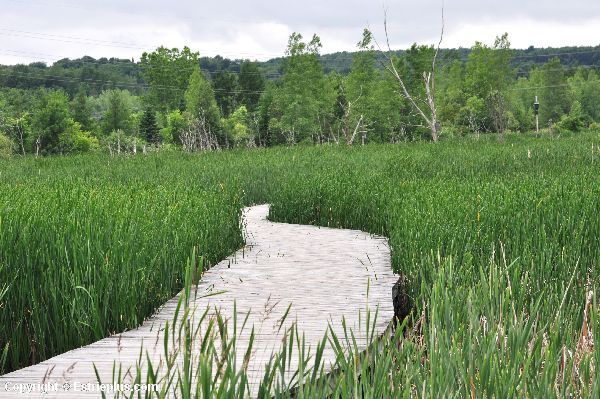 Marais de la SaintFrançois Sherbrooke Journal