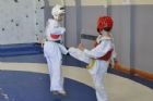 Taekwondo: pr�sentation des espoirs estriens