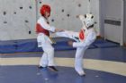 Taekwondo: pr�sentation des espoirs estriens
