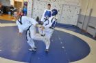 Taekwondo: pr�sentation des espoirs estriens