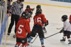 32e �dition du tournoi Novice-O-Rama