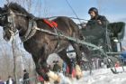 Derby d�attelage de Magog
