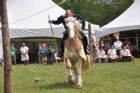 Une Saint-Jean-Baptiste � caract�re m�di�val  Waterville
