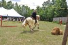 Une Saint-Jean-Baptiste � caract�re m�di�val  Waterville