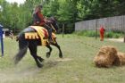 Une Saint-Jean-Baptiste � caract�re m�di�val  Waterville