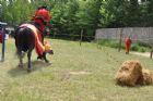 Une Saint-Jean-Baptiste � caract�re m�di�val  Waterville