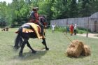 Une Saint-Jean-Baptiste � caract�re m�di�val  Waterville