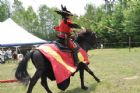 Une Saint-Jean-Baptiste � caract�re m�di�val  Waterville