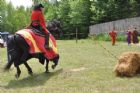Une Saint-Jean-Baptiste � caract�re m�di�val  Waterville