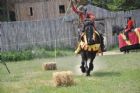 Une Saint-Jean-Baptiste � caract�re m�di�val  Waterville