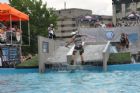 Savoroso et la tourn�e Wake dans�rue   Sherbrooke