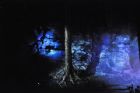 Un parcours nocturne illumin au Parc de la Gorge de Coaticook