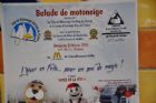 Hiver en folie � Sherbrooke