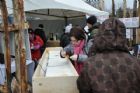 Carnaval de Sherbrooke � Parc Jacques-Cartier