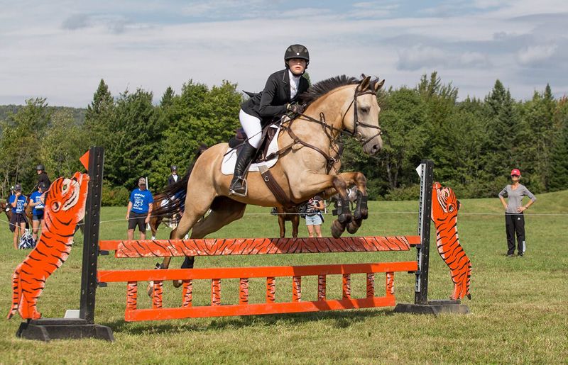 Centre équestre Équilibre (Dudswell) LE PAPOTIN