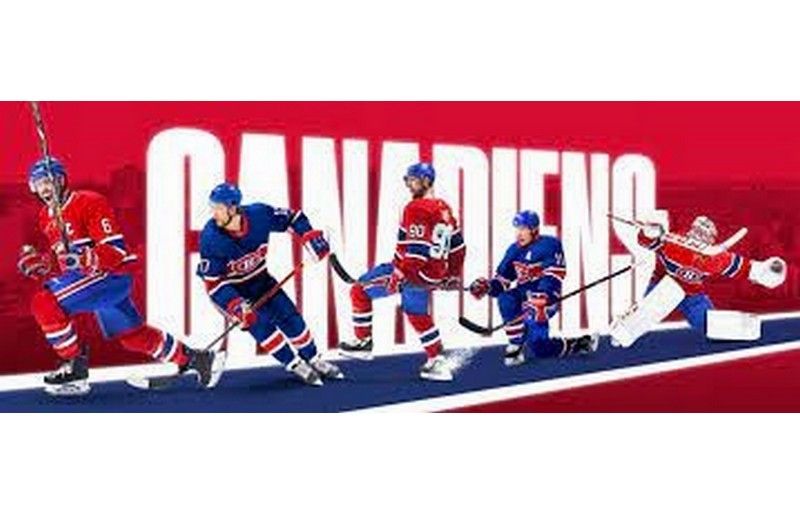 La SainteFlanelle CHRONIQUEURS Journal d