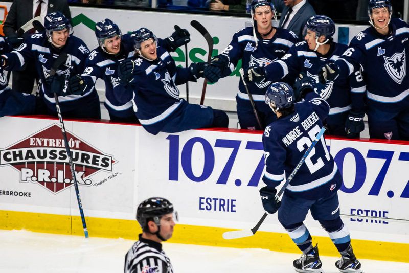 Qui arrêtera le Phoenix de Sherbrooke ? SPORTS
