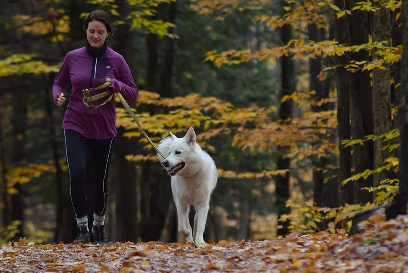 Inauguration de sentiers pédestres rustiques au parc du MontBellevue