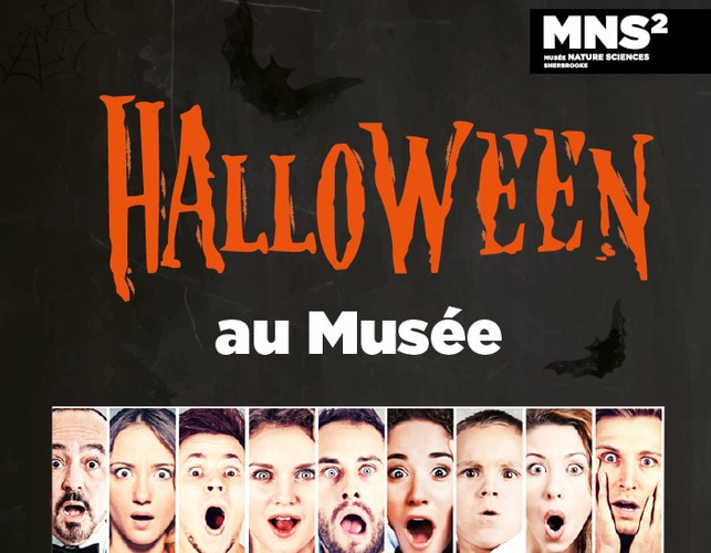 Activité d'Halloween au Musée de la Nature et des Sciences de Sherbrooke Activité d'Halloween au Musée de la Nature et des Sciences de Sherbrooke