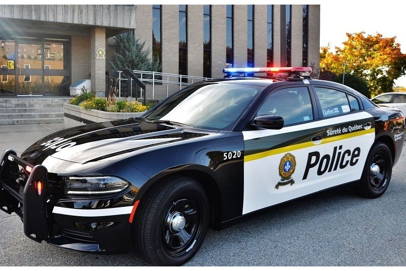 Un homme chasse le dindon sur un terrain privé sans permis ACTUALITÉS