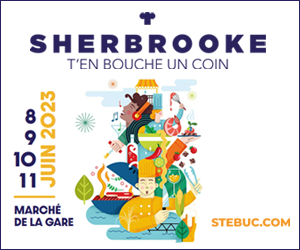STEBUC 2023