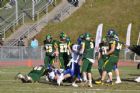 Demi-finale vert et or  Carabins -33  Vert et Or -15