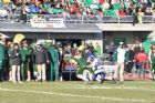 Demi-finale vert et or  Carabins -33  Vert et Or -15