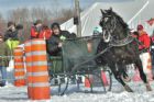 Derby d�attelage de Magog
