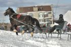 Derby d�attelage de Magog