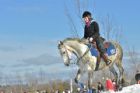 Derby d�attelage de Magog