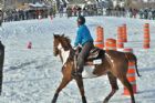 Derby d�attelage de Magog