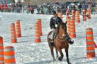 Derby d�attelage de Magog