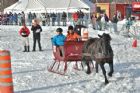 Derby d�attelage de Magog