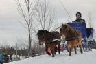 Derby d�attelage de Magog