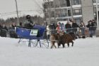 Derby d�attelage de Magog
