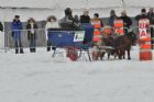 Derby d�attelage de Magog