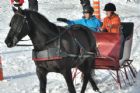 Derby d�attelage de Magog