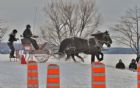 Derby d�attelage de Magog
