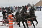 Derby d�attelage de Magog