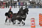 Derby d�attelage de Magog