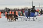 Derby d�attelage de Magog