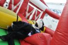 Jour des mascottes au Tournoi national atome pee-wee de magog