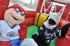 Jour des mascottes au Tournoi national atome pee-wee de magog