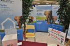 Expo-bateau Estrie Sherbrooke