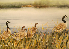 Vernissage - Raymond Chabot Grant Thornton